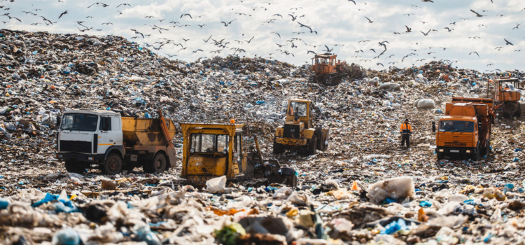 A landfill with seagulls overhead and heavy equipment.