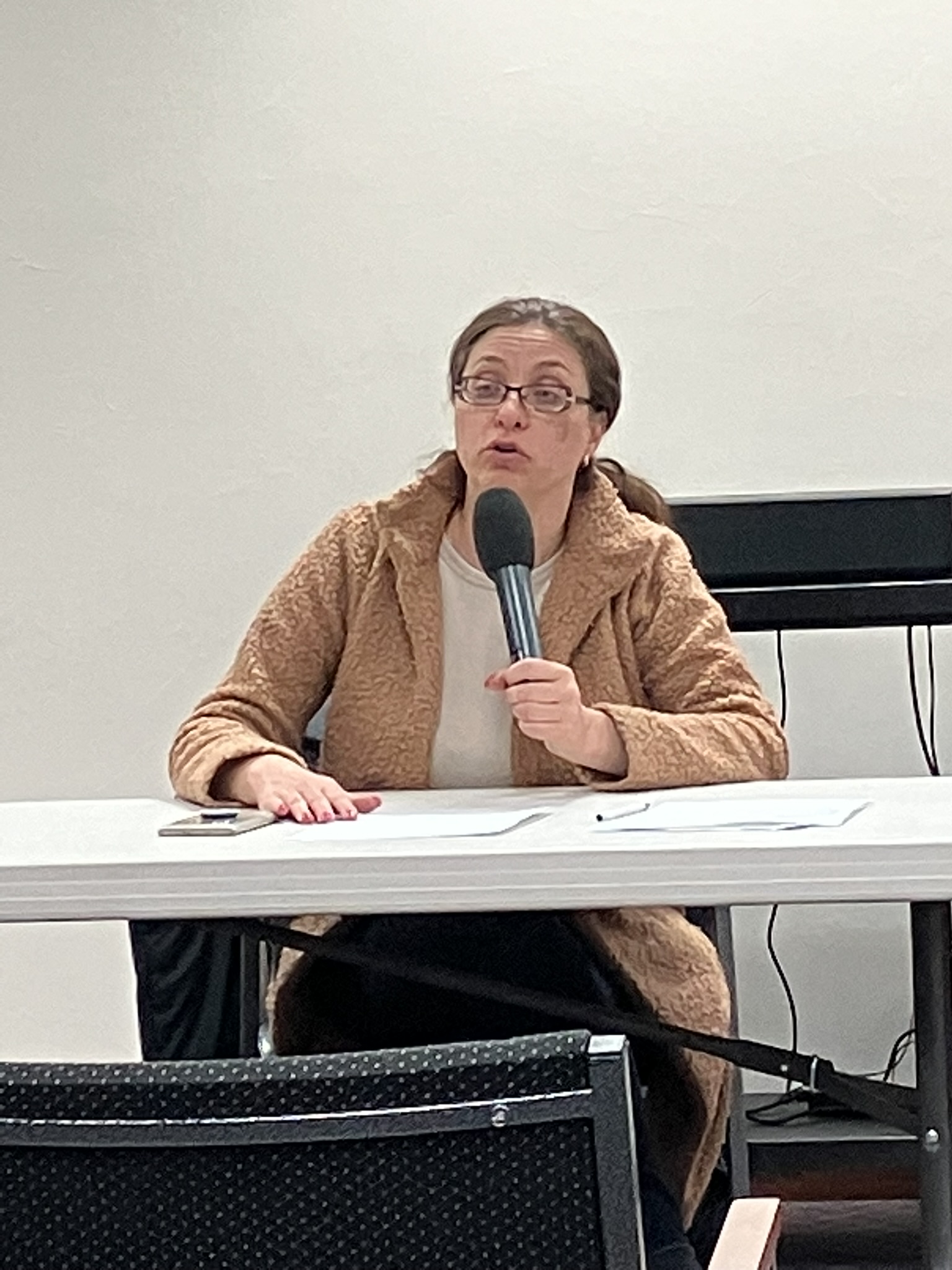  Sen. Rachael Cabral-Guevara spoke at the Fox Valley Initiative's listening session on April 3, 2023.
